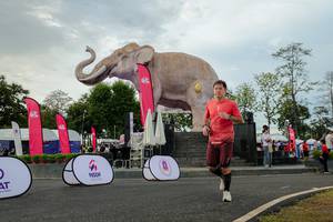 BIB: 
                            <button type="button" onclick="openModal(26528631)" class="btn btn-primary btn-sm float-right btn-popup" data-toggle="modal" data-target=".modal-high-quality">
                        <i class="fas fa-shopping-cart"></i> Add to Cart
                    </button>
                                            <button type="button" onclick="isThisMe(26528631, true)" class="btn btn-success btn-sm float-right btn-popup btn-isme hidden" data-toggle="tooltip" data-placement="bottom" title="นี่คือรูปของคุณใช่ไหม คลิกที่นี่เพื่อเอาเข้าอัลบั้ม">
                        <i class="fas fa-plus"></i> Add to album
                    </button>
                    <button type="button" onclick="isThisMe(26528631, false)" class="btn btn-warning btn-sm float-right btn-popup btn-isnotme hidden">
                        <i class="fas fa-ban"></i> Remove from album
                    </button>